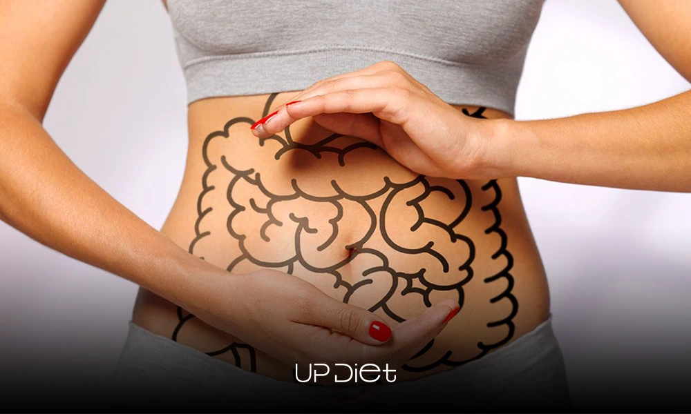 diet for slow digestion