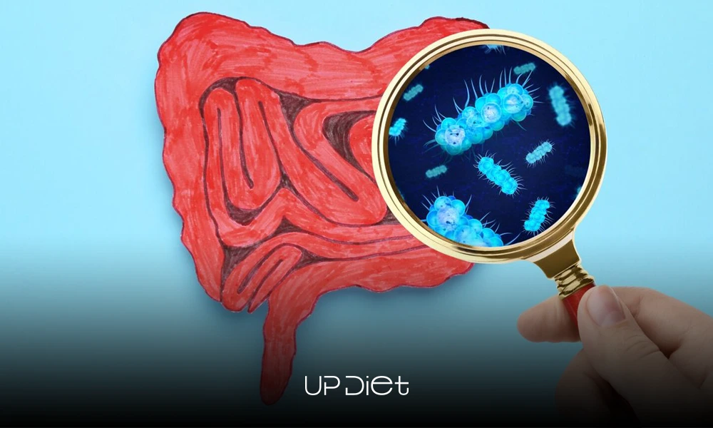 does exercise help gut health