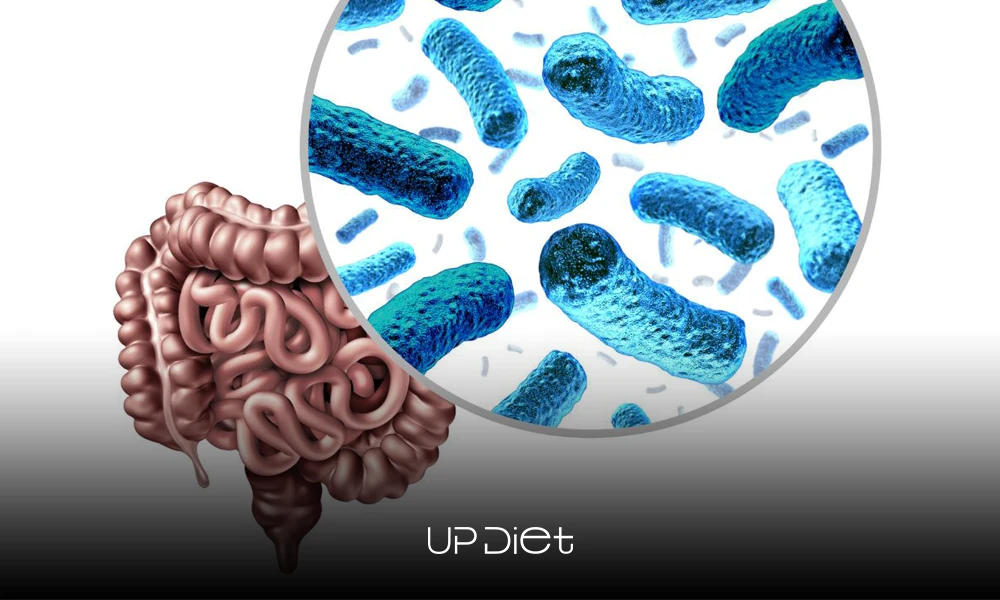 does gut health affect hormones