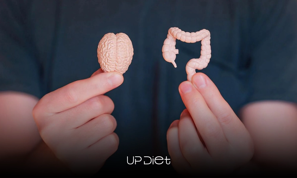 understanding the gut-brain axis