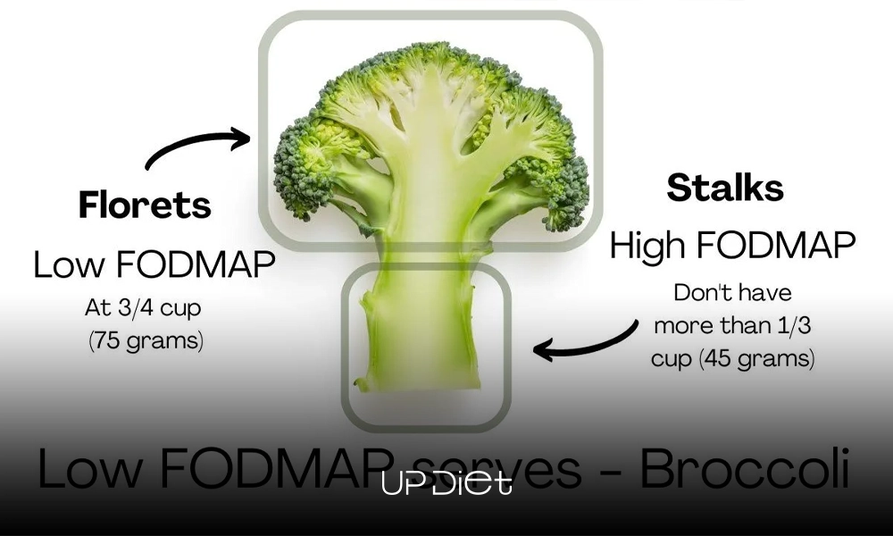 the importance of portion size in low fodmap diets